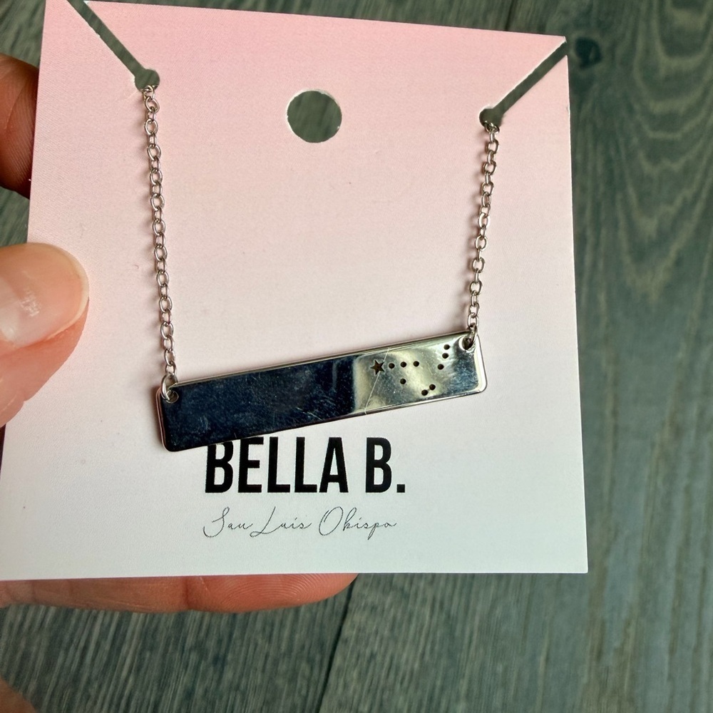 Capricorn Zodiac Constellation Bar Necklace in Silver